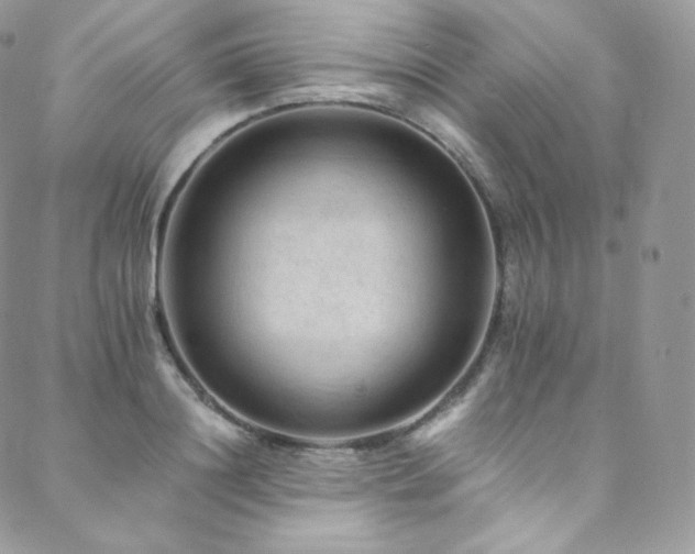 X0000088600844200705251212