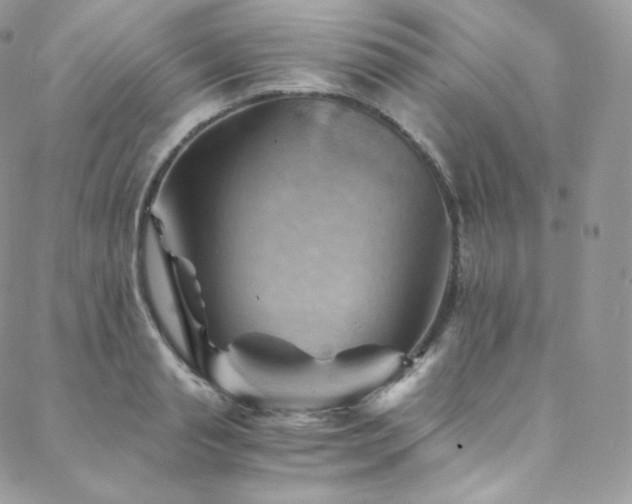 X0000088600845200705251212