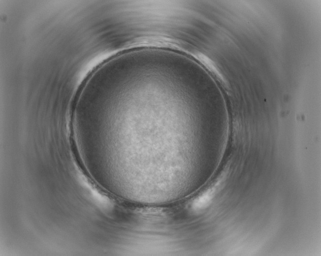 X0000088600846200705251212