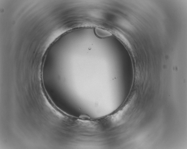 X0000088600847200705251212