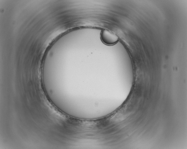 X0000088600848200705251212