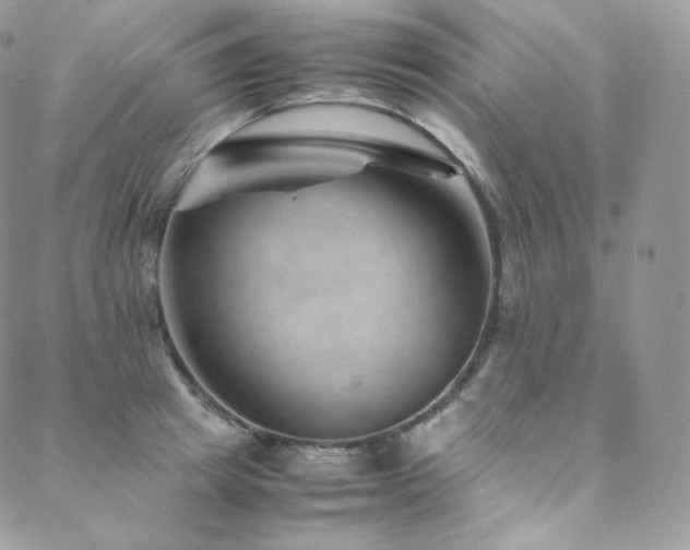 X0000088600849200705251212