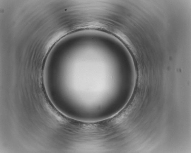 X0000088600850200705251212