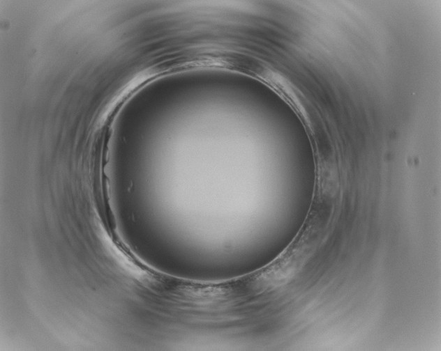 X0000088600851200705251212