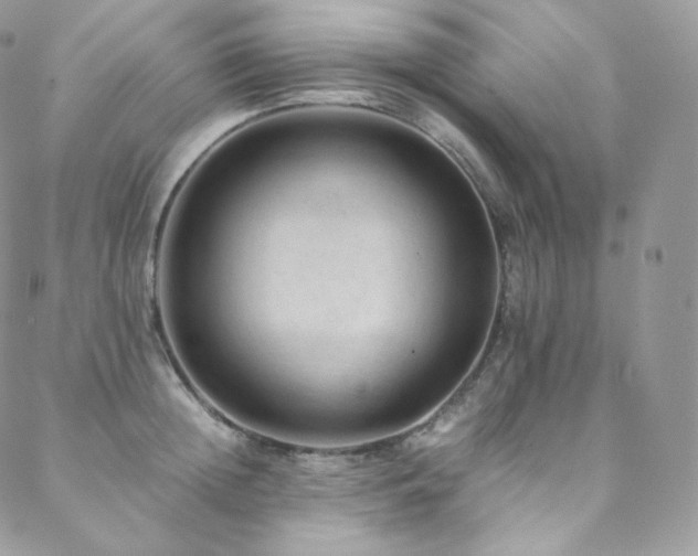 X0000088600852200705251212