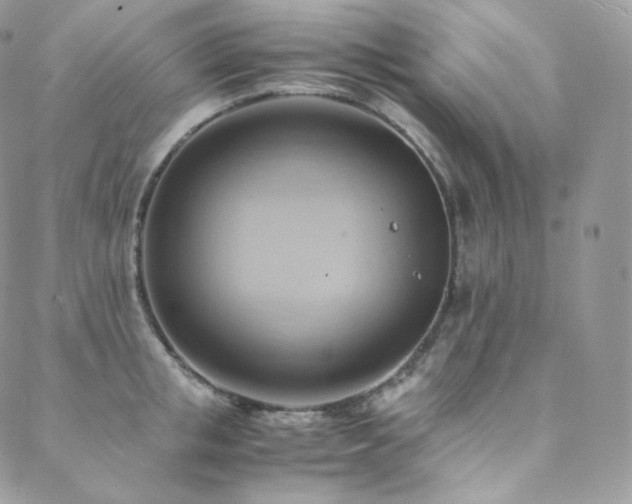 X0000088600853200705251212