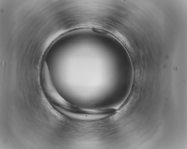 X0000088600854200705251212