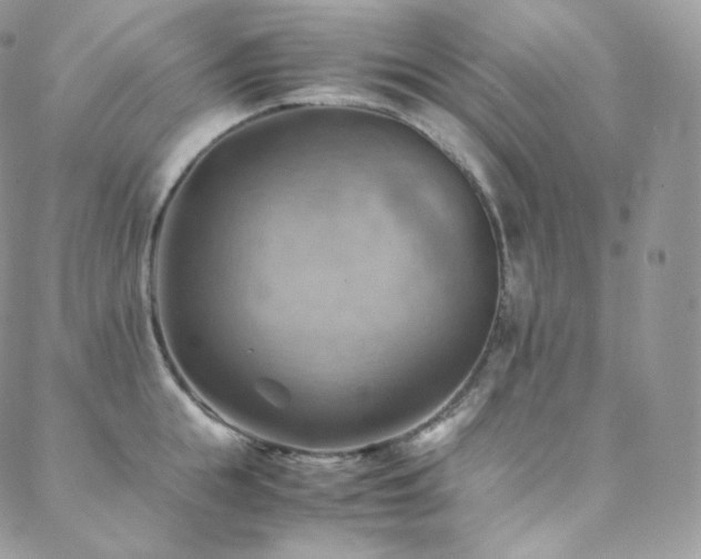 X0000088600855200705251212