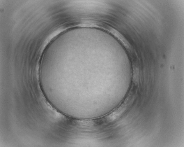 X0000088600856200705251212