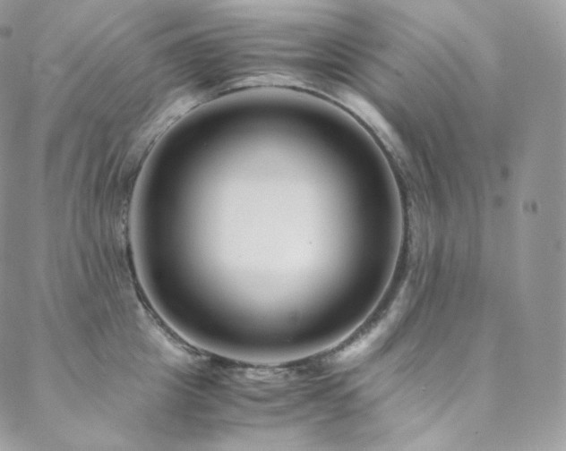 X0000088600857200705251212