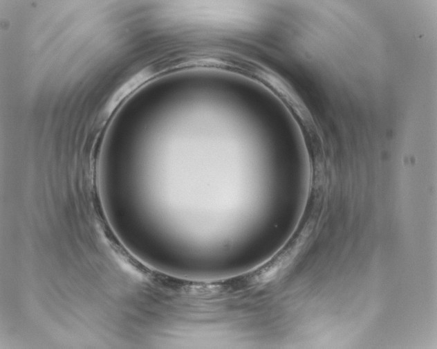 X0000088600858200705251212