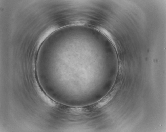 X0000088600859200705251212