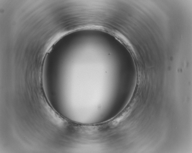 X0000088600860200705251212