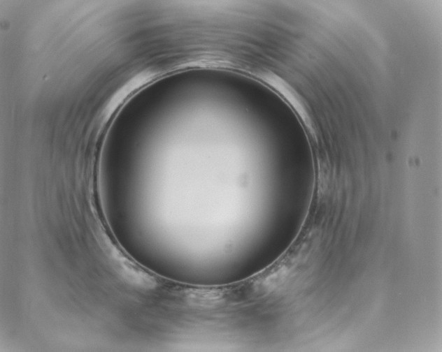 X0000088600861200705251212