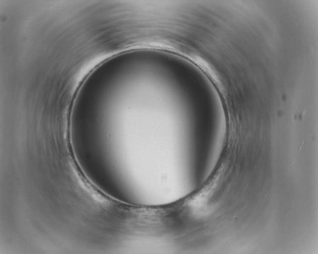 X0000088600862200705251212