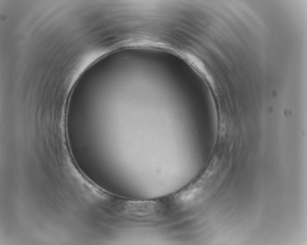 X0000088600863200705251212