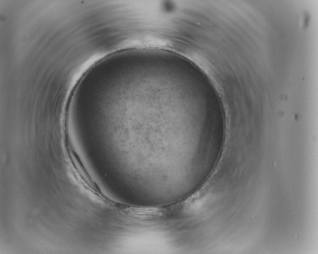 X0000088600864200705251212