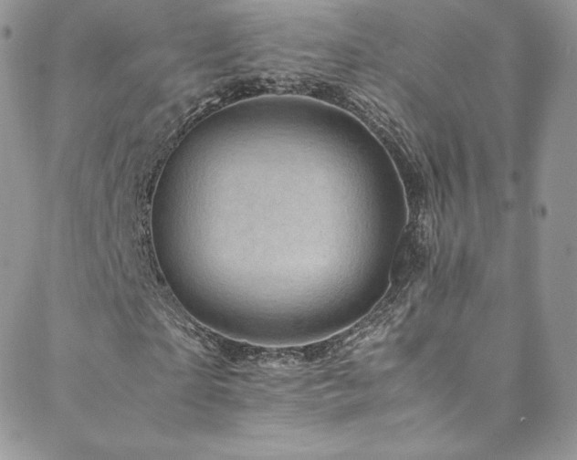 X0000088600865200705251212