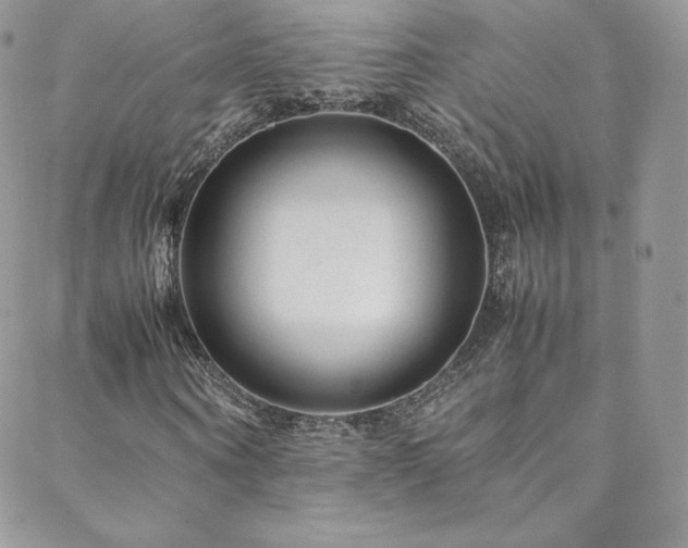 X0000088600866200705251212