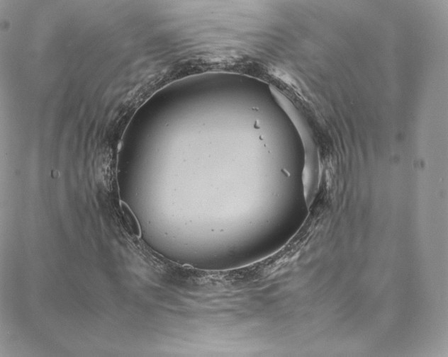 X0000088600867200705251212