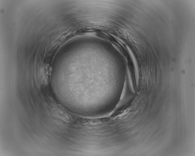 X0000088600868200705251212