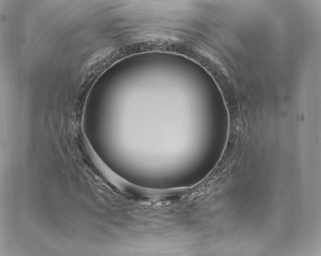 X0000088600869200705251212