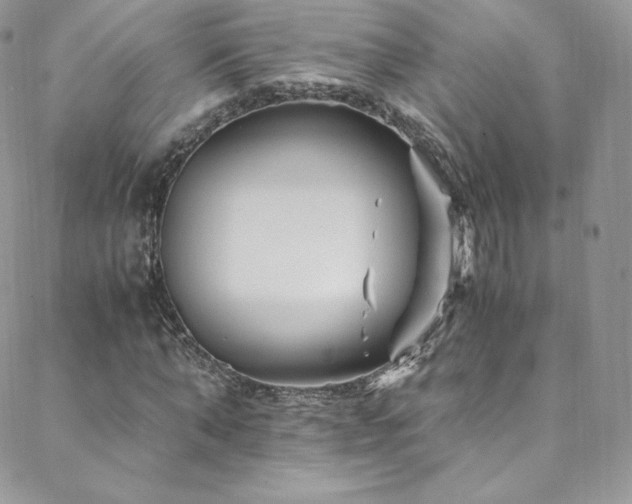 X0000088600870200705251211