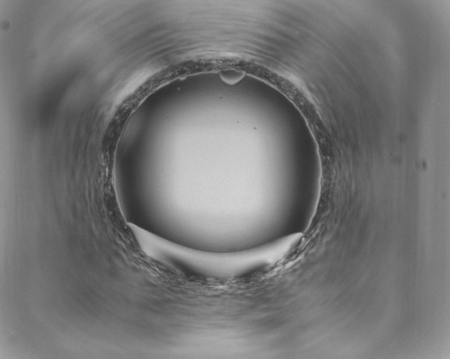 X0000088600871200705251211