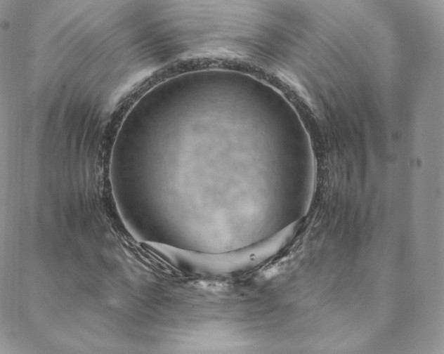 X0000088600872200705251211