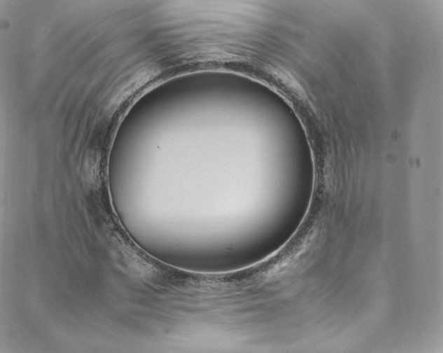 X0000088600873200705251211