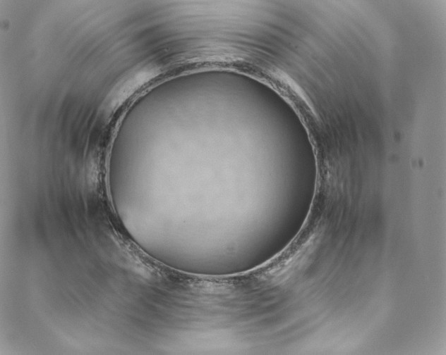 X0000088600874200705251211