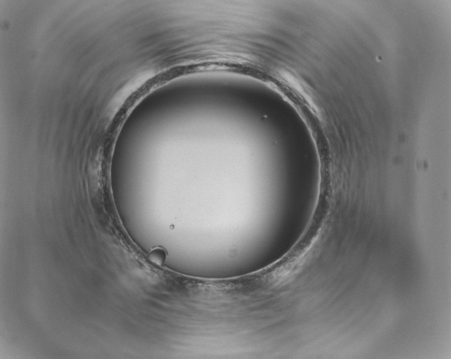 X0000088600875200705251211