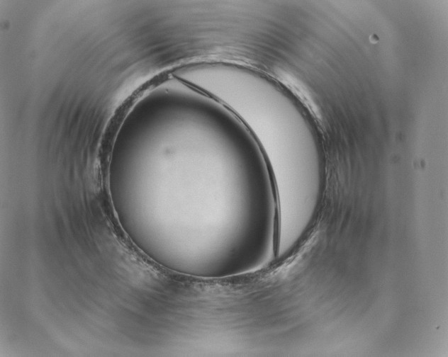 X0000088600876200705251211