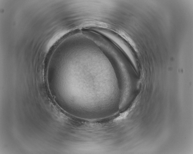 X0000088600877200705251211