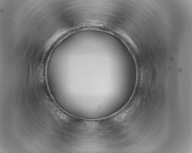 X0000088600878200705251211