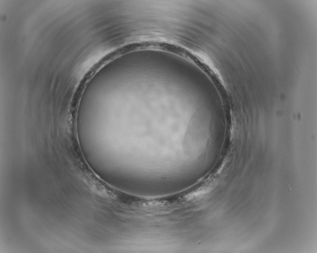 X0000088600879200705251211