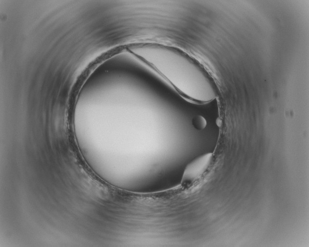 X0000088600880200705251211