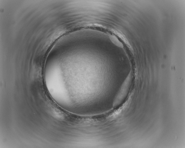 X0000088600881200705251211