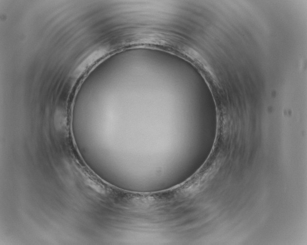 X0000088600882200705251211