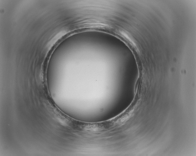 X0000088600883200705251211