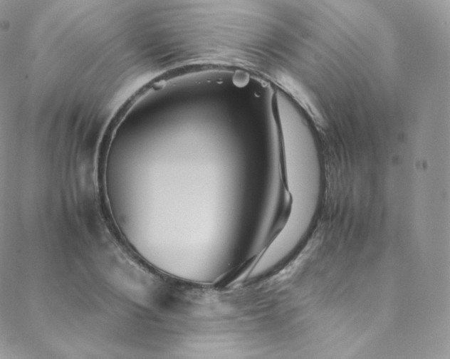 X0000088600884200705251211