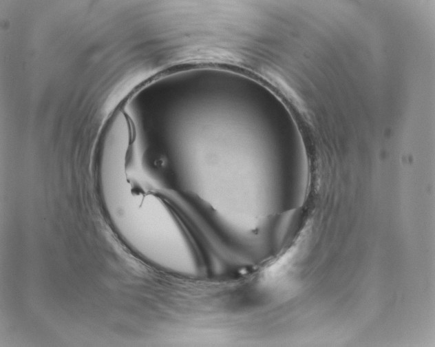 X0000088600885200705251211