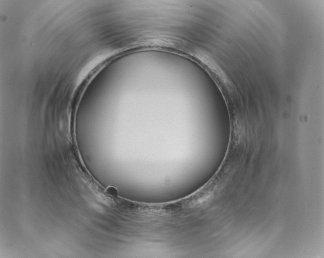 X0000088600886200705251211