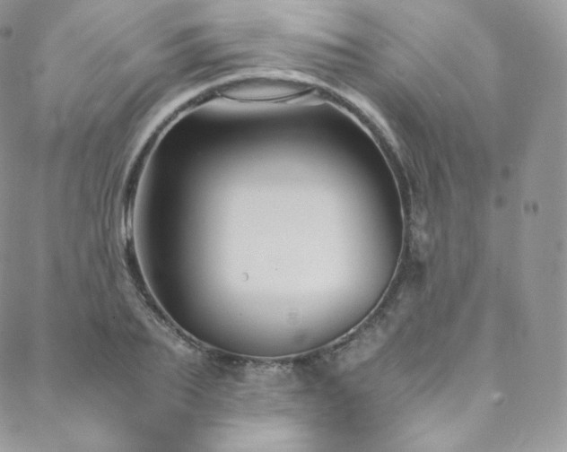 X0000088600887200705251211