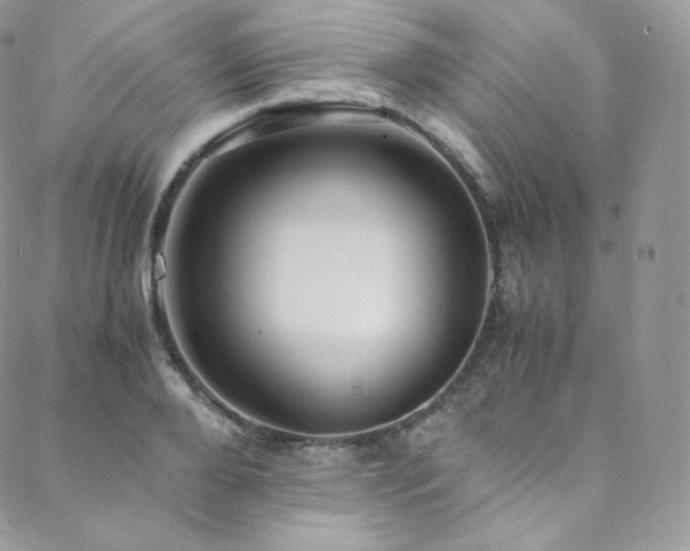 X0000088600888200705251211