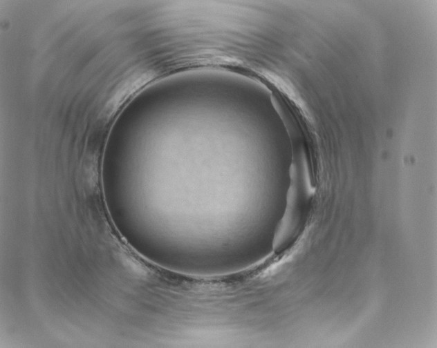 X0000088600889200705251211