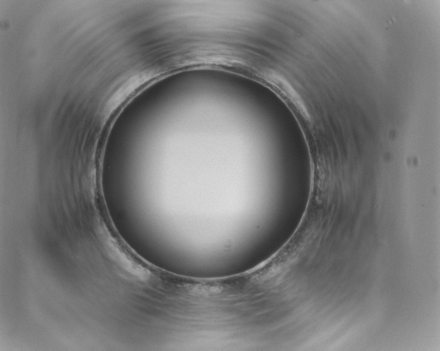 X0000088600890200705251211