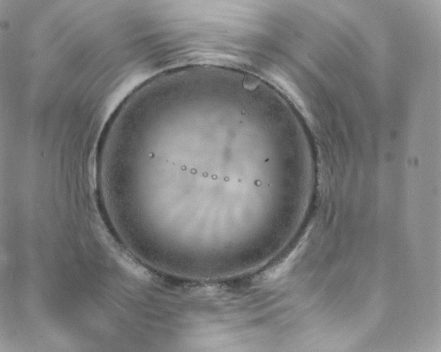 X0000088600891200705251211