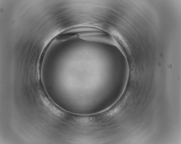 X0000088600892200705251211