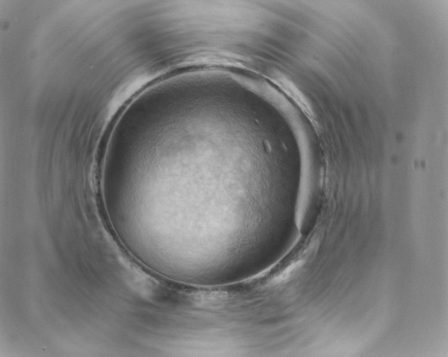 X0000088600893200705251211